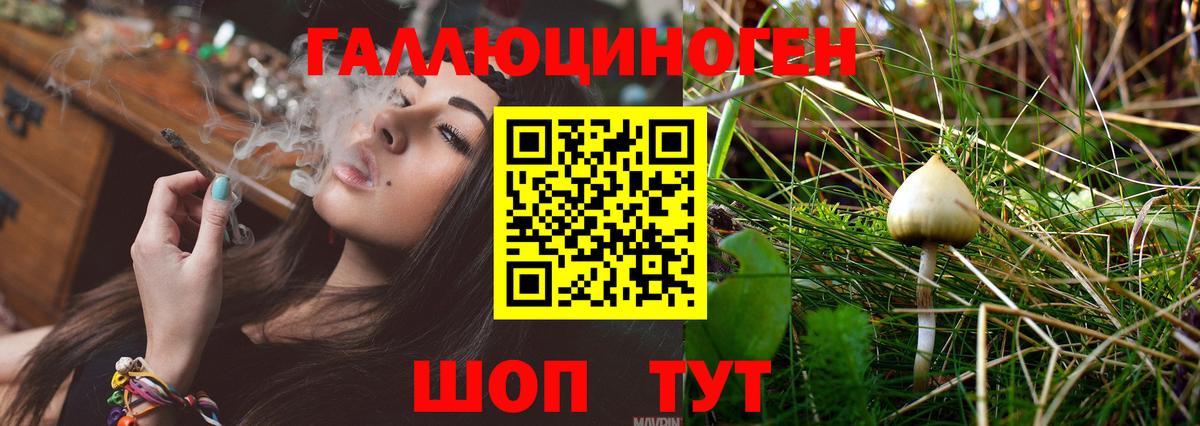 Галлюциногенные грибы Cubensis Санкт-Петербург