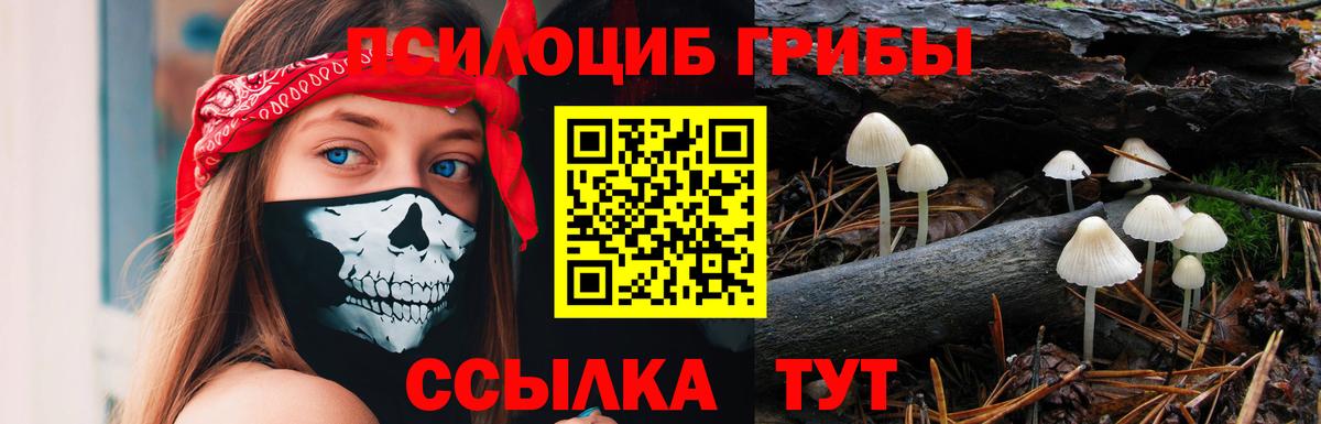 Псилоцибиновые грибы Psilocybe  Вход с VPN  Галлюциногенные грибы GOLDEN TEACHER  Санкт-Петербург 